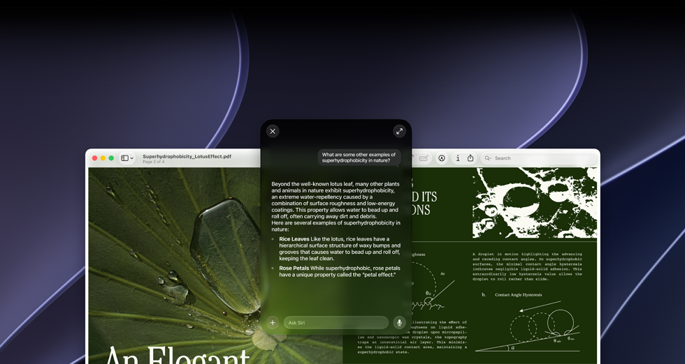 En demonstrasjon av Siri og visuell intelligens. På en Mac-skjerm vises et spørsmål om et emne i en PDF. Spørsmålet er: «Hva er noen andre eksempler på superhydrofobitet i naturen?». Svaret fra Siri er: