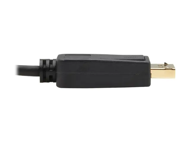 Eaton Tripp Lite Series USB-C to DisplayPort Bi-Directional Active...