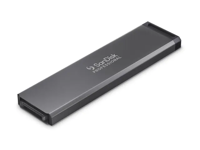 SanDisk Professional PRO-BLADE SSD Mag - 2 TB ekstern (bærbar)