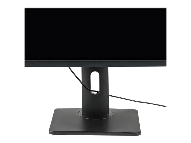Startech Free Standing Single Monitor Mount, Height Adjustable Sta...