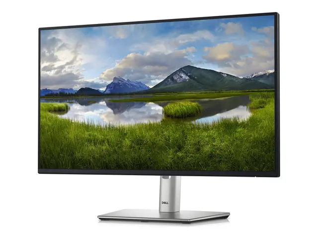 Dell P2425H - LED-skjerm 24" (23.81" synlig) 1920 x 1080 Full HD (...