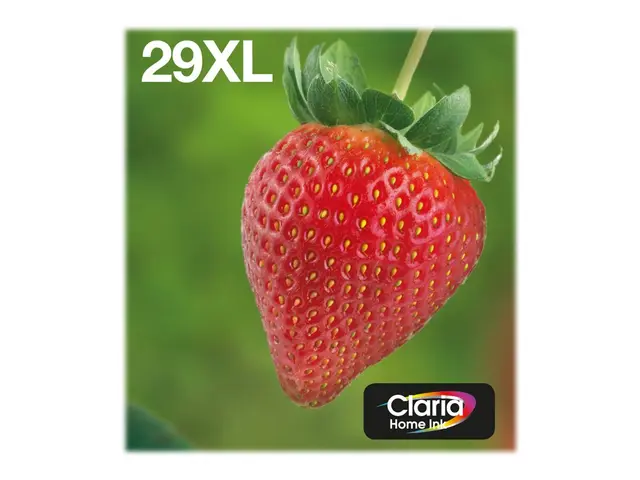 Epson Multipack 29XL EasyMail - 4-pack - XL - svart, gul, cyan, ma...