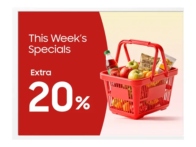 Samsung EM13DX - 13" Diagonalklasse (13.3" synlig) EMDX series e-P...