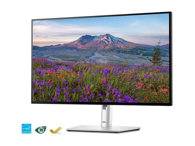 Dell UltraSharp U2424HE - LED-skjerm 24" (23.8" synlig) 1920 x 108...