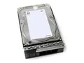 Dell - Customer Kit - harddisk - 4 TB - 512n, ISE 3.5&quot; - SAS 12Gb/s - 7200 rpm - for PowerEdge T160