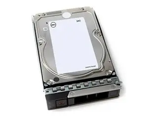 Dell - Customer Kit - harddisk 4 TB - 512n, ISE - 3.5" - SAS 12Gb/s - 7200 rpm - for PowerEdge T160