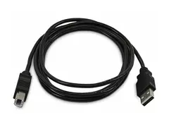 StarTech.com - USB-kabel - TAA-samsvar USB (hann) til USB-type B (hann) - USB 2.0 - 1.8 m