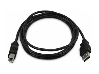 StarTech - USB-kabel - TAA-samsvar USB (hann) til USB-type B (hann) - USB 2.0 - 1.8 m