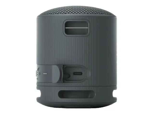Sony SRS-XB100 - Høyttaler for bærbar bruk trådløs Bluetooth Appst...