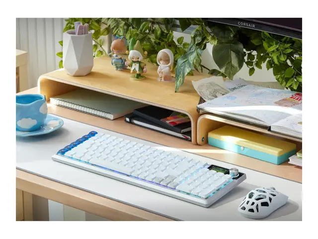 CORSAIR VANGUARD AIR 99 - Tastatur - lavprofil - 99% - compact ful...