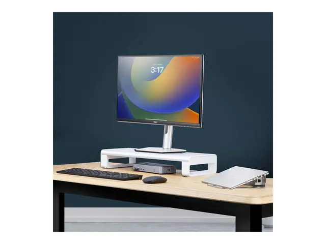 StarTech.com Ergonomic Monitor Riser Stand, 33lb Max, Fixed height...
