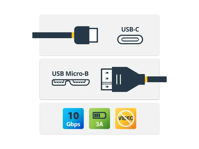 StarTech.com USB C to Micro Cable 0.5m - 3.1 Type B USB-C Thunderb...