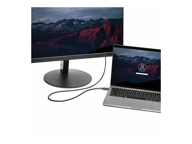 StarTech.com 6ft (2m) USB C to VGA Cable, 1920x1200/1080p Type Vid...