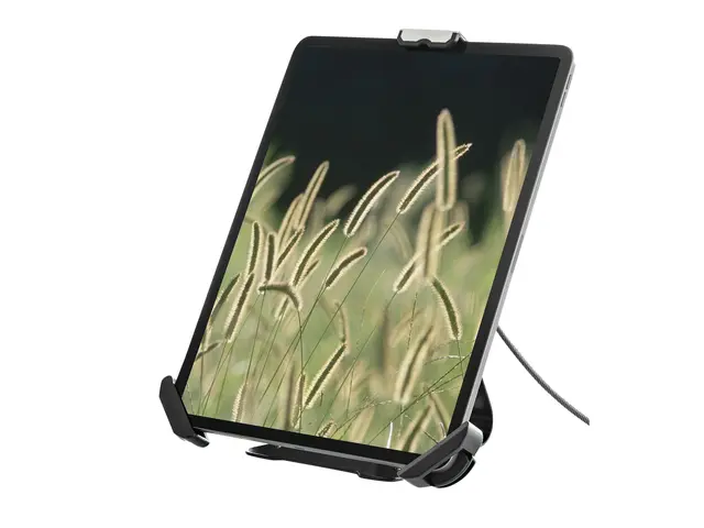 Startech Secure Tablet Stand w/ K-Slot Cable Lock, Locking Holder ...