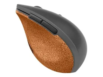 Lenovo Go - Mus ergonomisk blå optisk 6 knapper trådløs 2.4 GHz US...