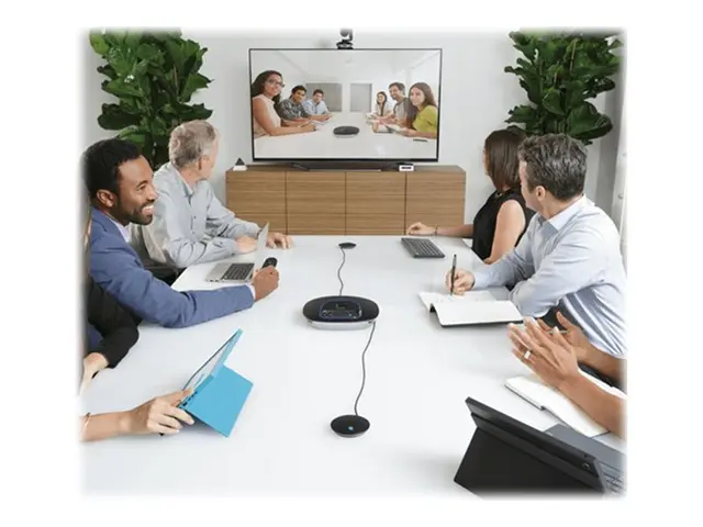 Logitech GROUP Expansion Microphones Only - Mikrofonsett