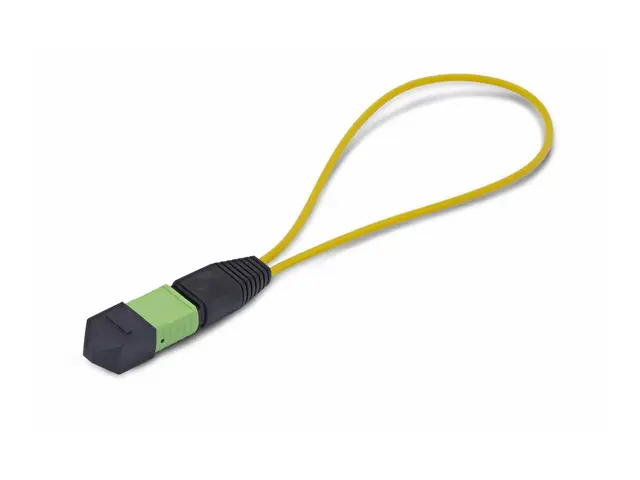 Startech - Loopbackadapter TAA-samsvar MPO-12 enkeltmodus (hunn) f...