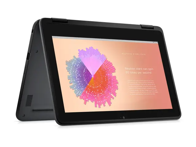 Dell Chromebook JSL 11 3110 2in1 - 11.6" Intel Celeron N4500 4 GB ...