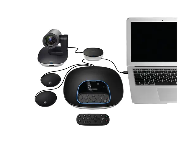 Logitech GROUP Expansion Microphones Only - Mikrofonsett