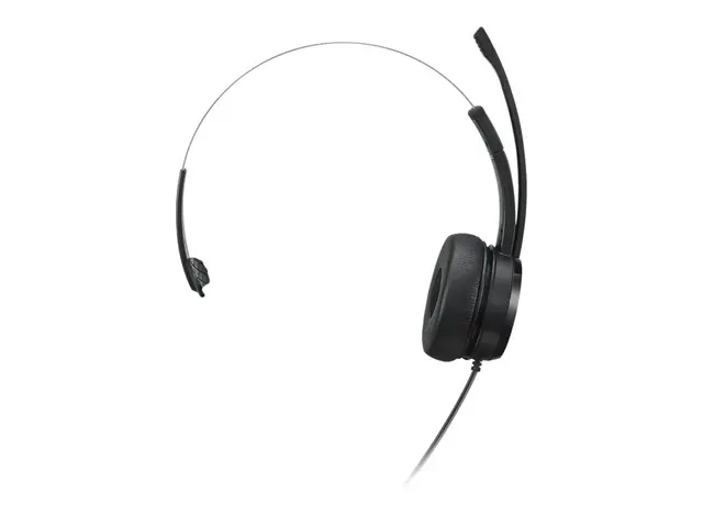 Lenovo 100 - Hodesett on-ear kablet USB-A svart