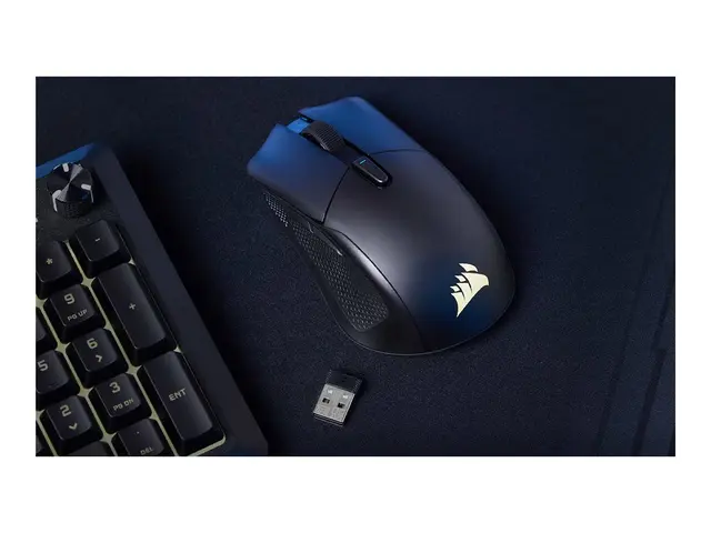 CORSAIR HARPOON v2 - Mus - ergonomisk - høyrehendt optisk - 6 knapper - kablet, trådløs - USB-C, Bluetooth, 2.4 GHz - USB Slipstream trådløs mottaker 