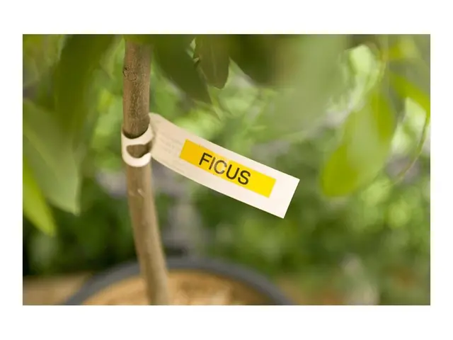 Brother TZe-621 - Svart på gult Rull (0,9 cm x 8 m) 1 kassett(er) ...