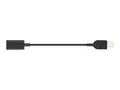 Lenovo USB-C to Slim-tip Cable Adapter - Str&#248;mkoblingsadapter 24 pin USB-C hunn til str&#248;m hann