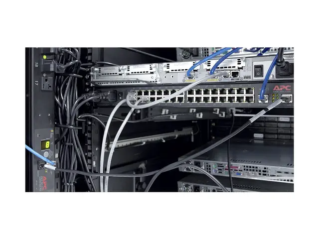 APC - Rackkabelstyringspanel - svart - for P/N: AR3106SP, SMX1000C...