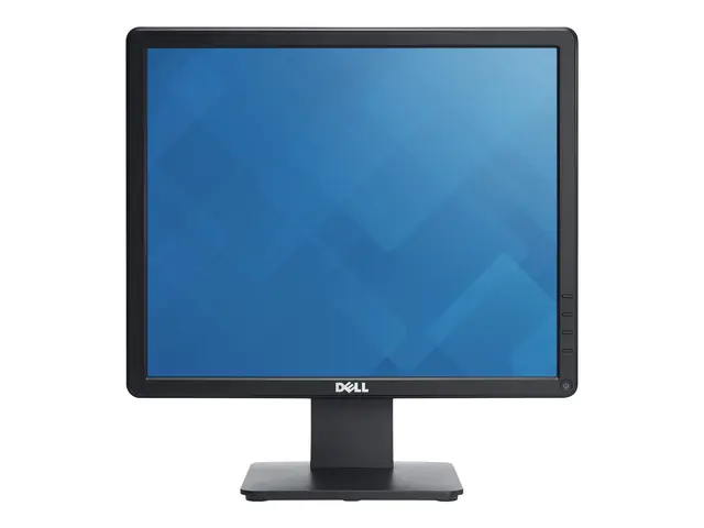 Dell E1715S - LED-skjerm 17" 1280 x 1024 @ 60 Hz TN 250 cd/m² 1000...