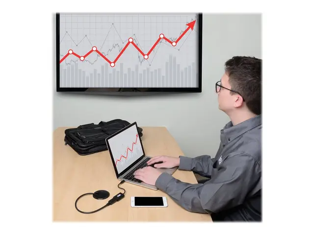 Eaton Tripp Lite Series USB C to DisplayPort Video Adapter Convert...