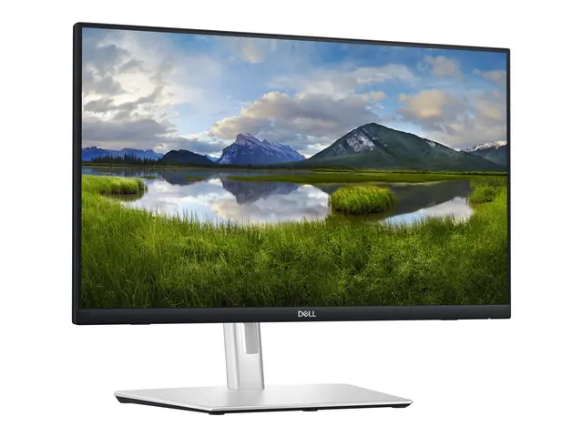 Dell P2424HT - LED-skjerm Full HD (1080p) 24"