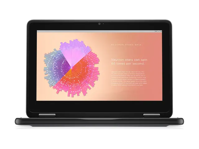Dell Chromebook JSL 11 3110 2in1 - 11.6" Intel Celeron N4500 4 GB ...