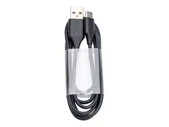 Jabra - USB-kabel - USB (hann) til 24 pin USB-C (hann) 1.2 m - svart