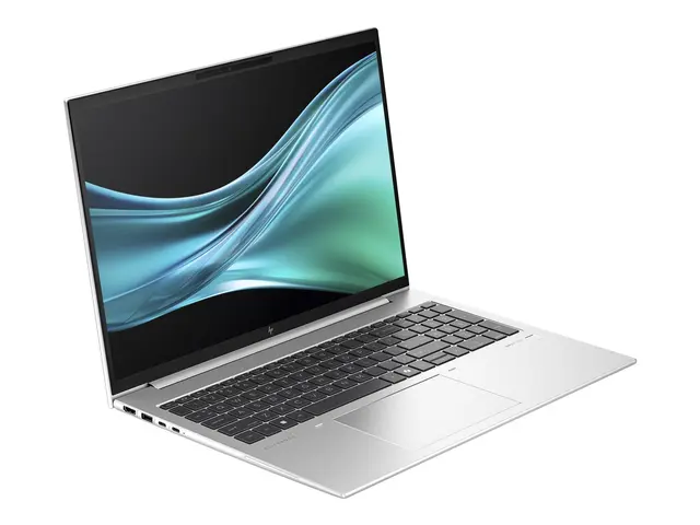HP EliteBook 865 G11 Notebook - 172-graders hengseldesign AMD Ryze...