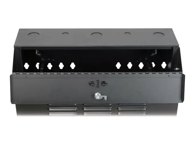 Eaton Tripp Lite Series 6U Wall Mount Rack Enclosure Server Cabine...