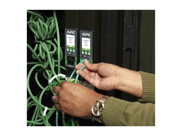 APC NetShelter Rack PDU Advanced - strømfordelerenhet svitsjet mål...