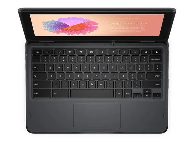 Dell Chromebook JSL 11 3110 2in1 - 11.6" Intel Celeron N4500 4 GB ...