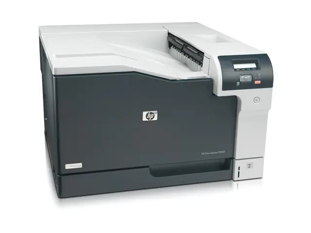 HP Color LaserJet Professional CP5225n - Skriver - farge - laser -...