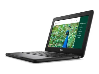 Dell Chromebook 3120 (2024) - 11.6&quot; Intel N-series - N100 - 8 GB RAM - 64 GB eMMC