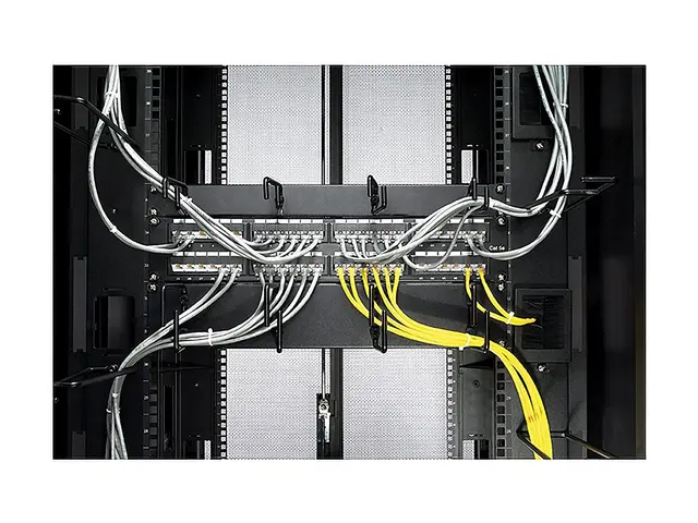 APC - Kabelordner - svart - 2U - for NetShelter EP; NetShelter ES;...