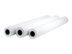 HP Professional Matte Canvas - Matt 22 mille - Rull (106,7 cm x 15,2 m) - 390 g/m&#178; - 1 rull(er) lerretspapir - for DesignJet 5000, 5500, Z2100, Z3100, Z3200, Z5200, Z5400, Z6100, Z6200, Z6600, Z6800