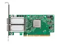 HPE 841QSFP28 - Nettverksadapter PCIe 3.0 x16 lav profil - 100Gb Ethernet / Infiniband EDR QSFP28 x 2 - for HPE J2000; Apollo 4200 Gen10