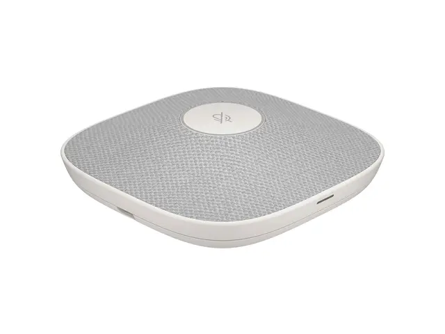 HP Poly Studio A2 Table Microphone - Mikrofon kablet hvit