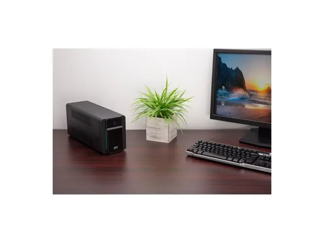 APC Easy UPS BVX Series BVX900LI - UPS - AC 220-240 V - 480 watt -...
