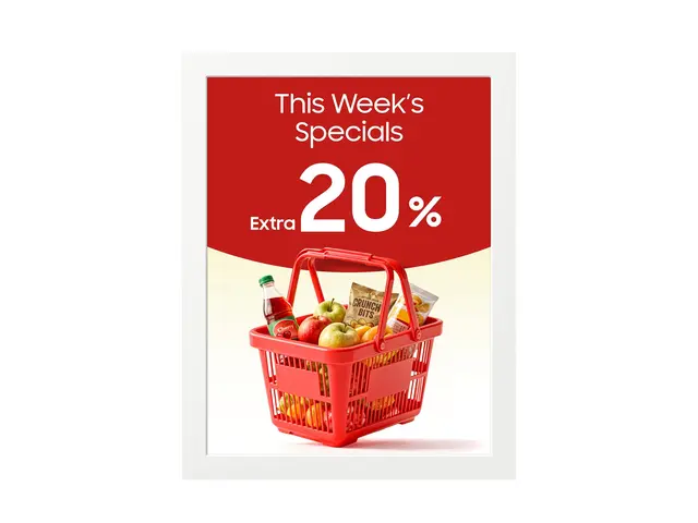 Samsung EM13DX - 13" Diagonalklasse (13.3" synlig) EMDX series e-P...