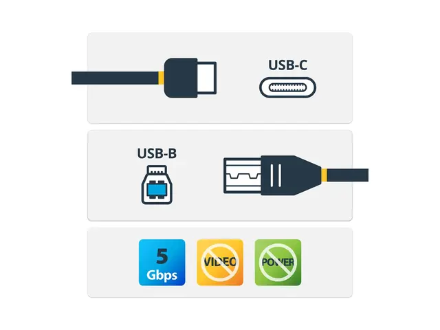 StarTech.com USB C to B Printer Cable - 6 ft / 2m Type (USB315CB2M...