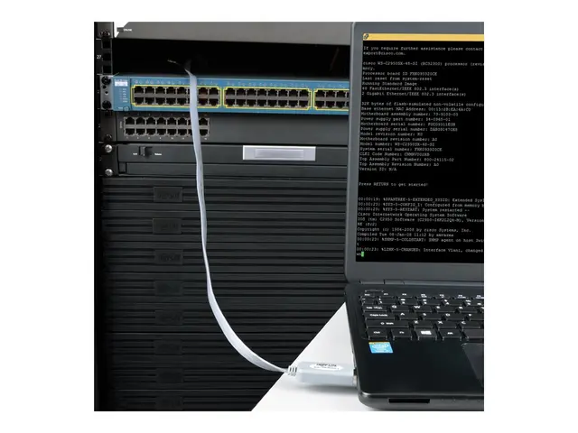 Eaton Tripp Lite Series USB to RJ45 Cisco Serial Rollover Cable, T...