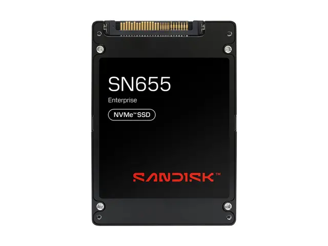 SanDisk SN655 - SSD Enterprise kryptert 30.72 TB intern 2.5" U.3 P...