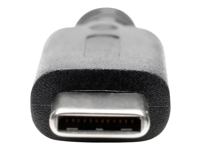Eaton Tripp Lite Series USB C to DisplayPort Video Adapter Convert...
