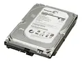 HP - Harddisk - 500 GB - intern - 3.5&quot; - SATA 6Gb/s 7200 rpm - buffer: 16 MB - for Workstation Z1 G5, Z2 G4, Z2 G5, Z2 G8, Z2 G9, Z238, Z4 G4, Z420, Z6 G4, Z620, Z640, Z8 G4